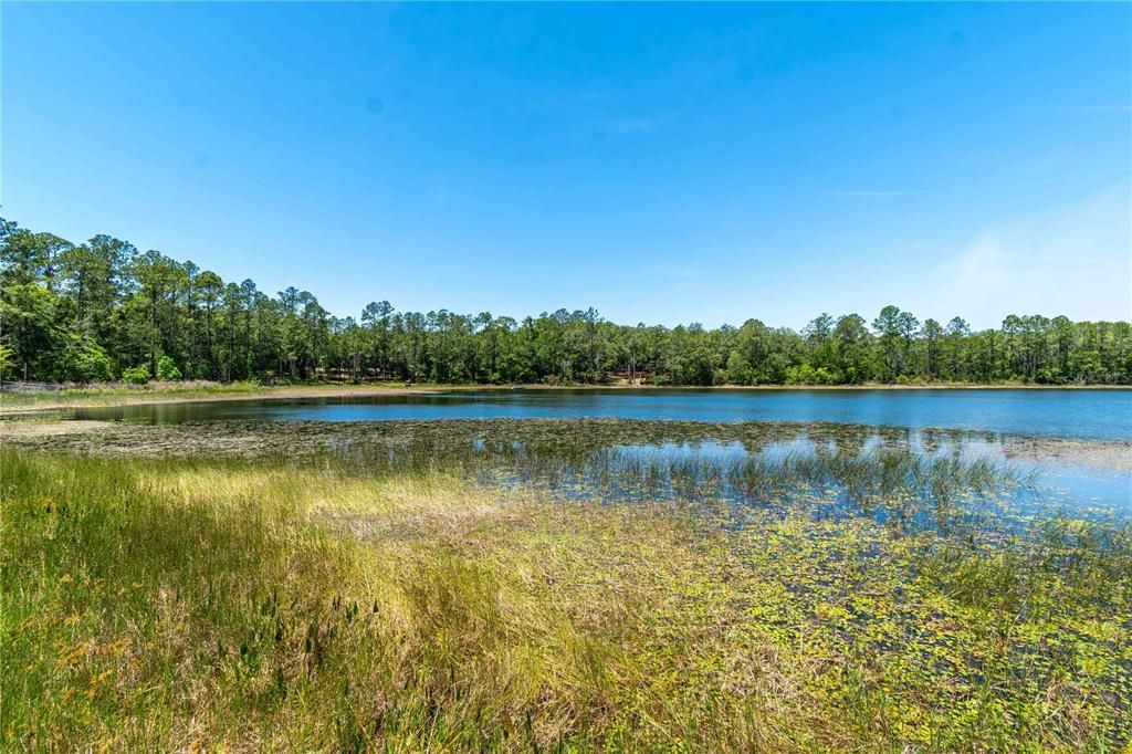 For Sale: $1,395,000 (5 beds, 4 baths, 5436 Square Feet)