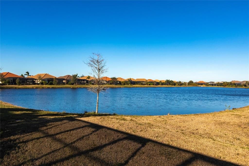 Под контрактом: $1,295,000 (3 спален, 3 ванн, 3055 Квадратных фут)