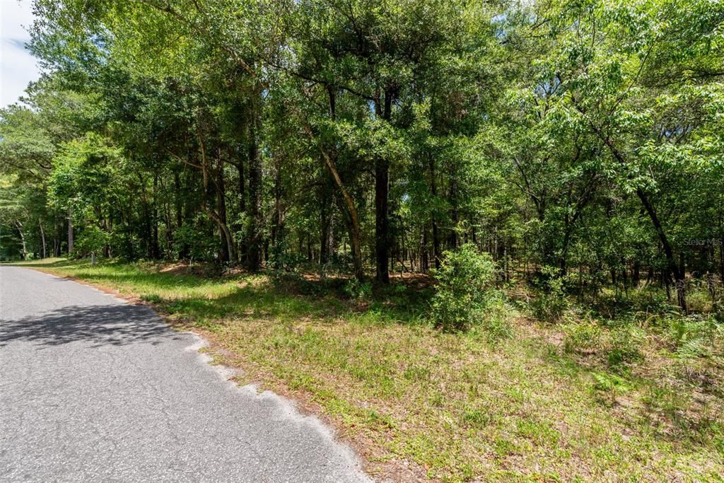 На продажу: $79,900 (1.25 acres)