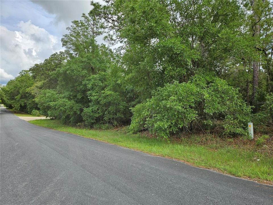 Vendido Recientemente: $32,000 (1.25 acres)