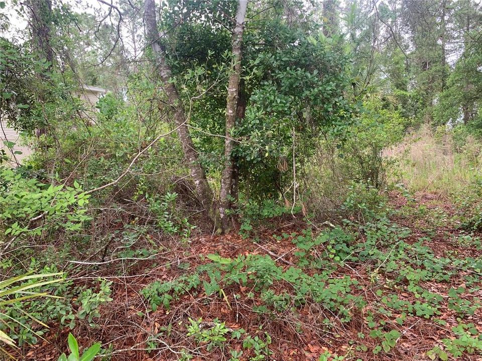 待售: $31,000 (0.18 acres)