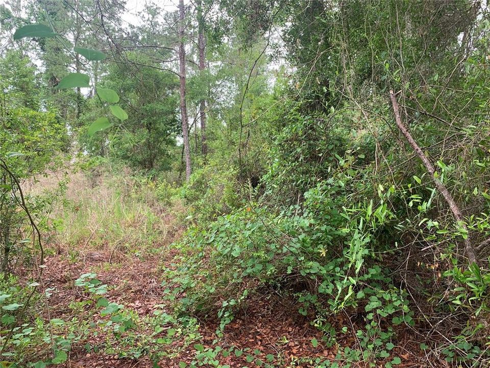 待售: $31,000 (0.18 acres)