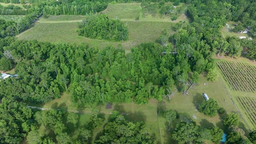 For Sale: $177,000 (6.05 acres)