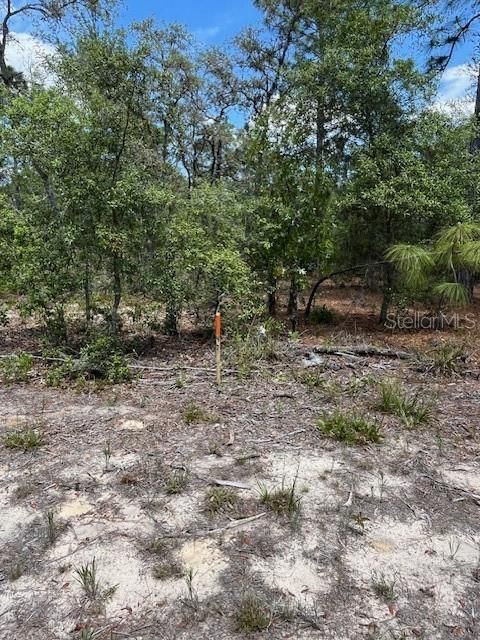 For Sale: $10,000 (0.10 acres)