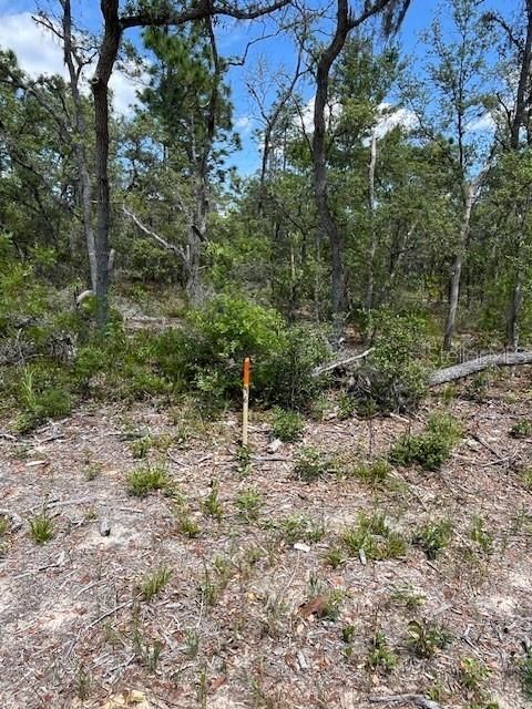 For Sale: $10,000 (0.10 acres)