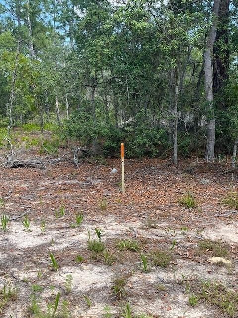 For Sale: $10,000 (0.10 acres)