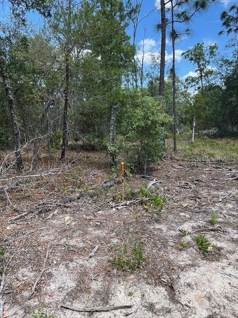 For Sale: $10,000 (0.10 acres)