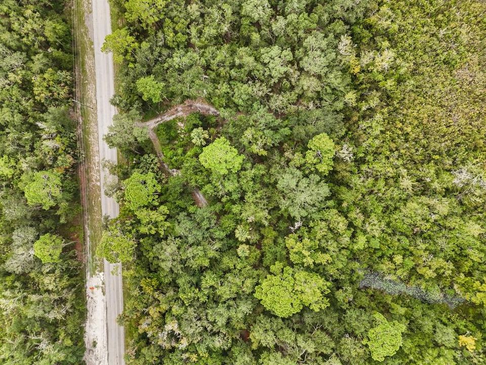 For Sale: $99,000 (1.65 acres)