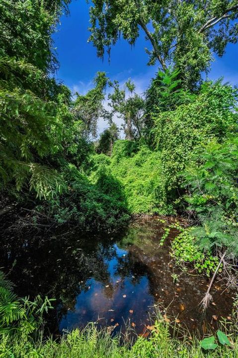 Active With Contract: $335,000 (2 beds, 2 baths, 1347 Square Feet)