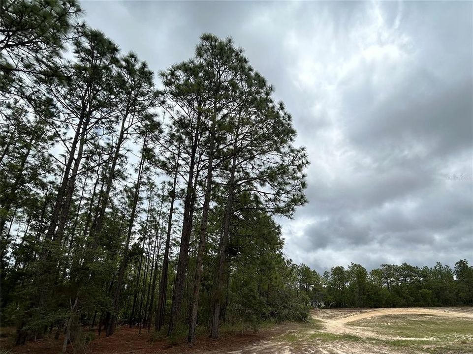 For Sale: $59,000 (0.76 acres)