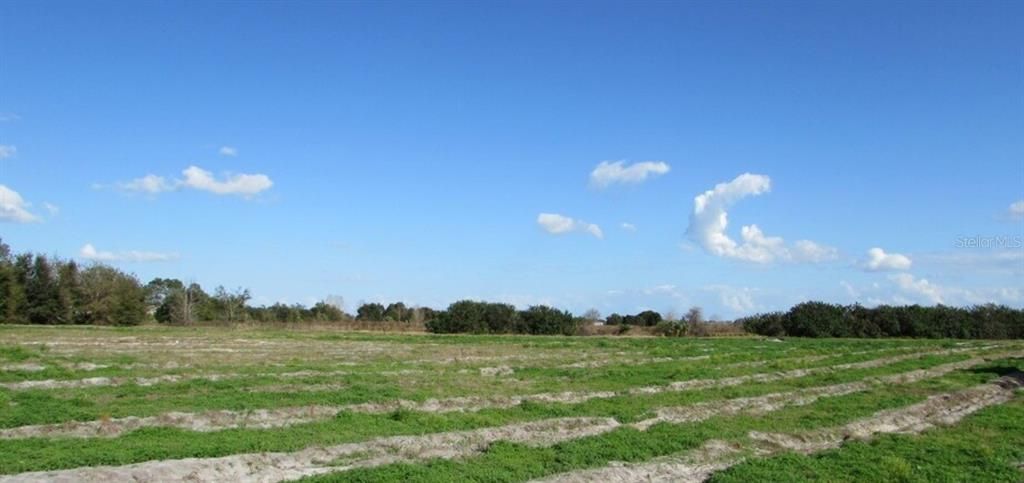 For Sale: $1,500,000 (3.99 acres)