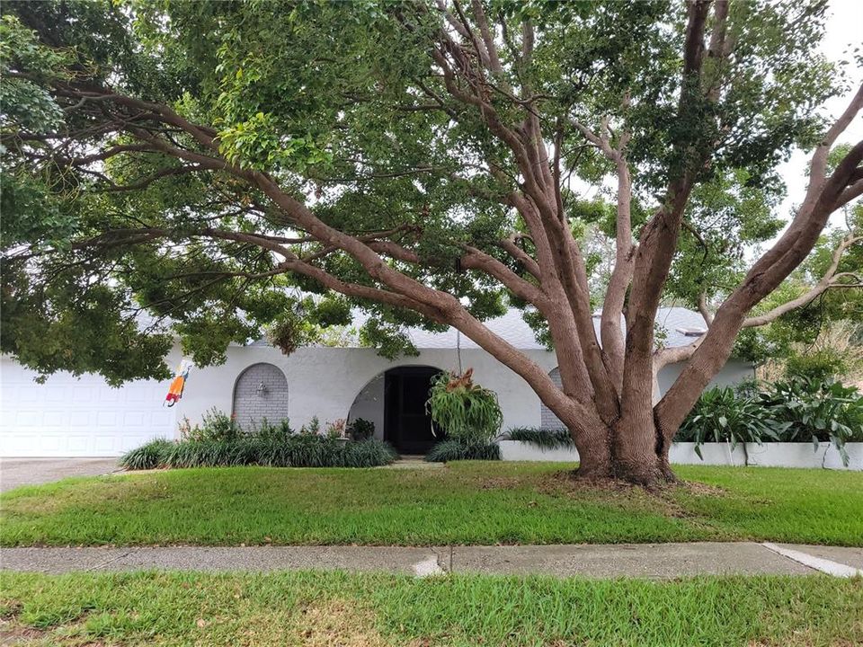 Recently Sold: $649,825 (4 beds, 3 baths, 3190 Square Feet)