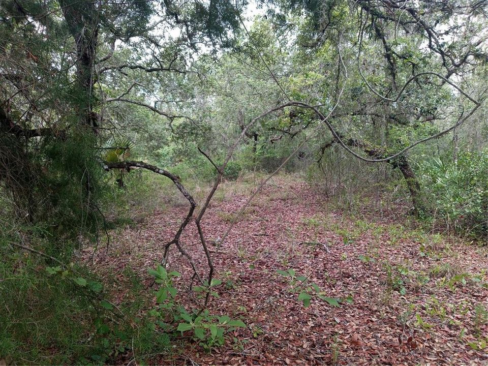 Recently Sold: $50,000 (0.98 acres)