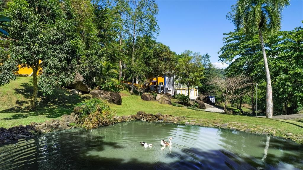 Active With Contract: $775,000 (3 beds, 3 baths, 3249 Square Feet)