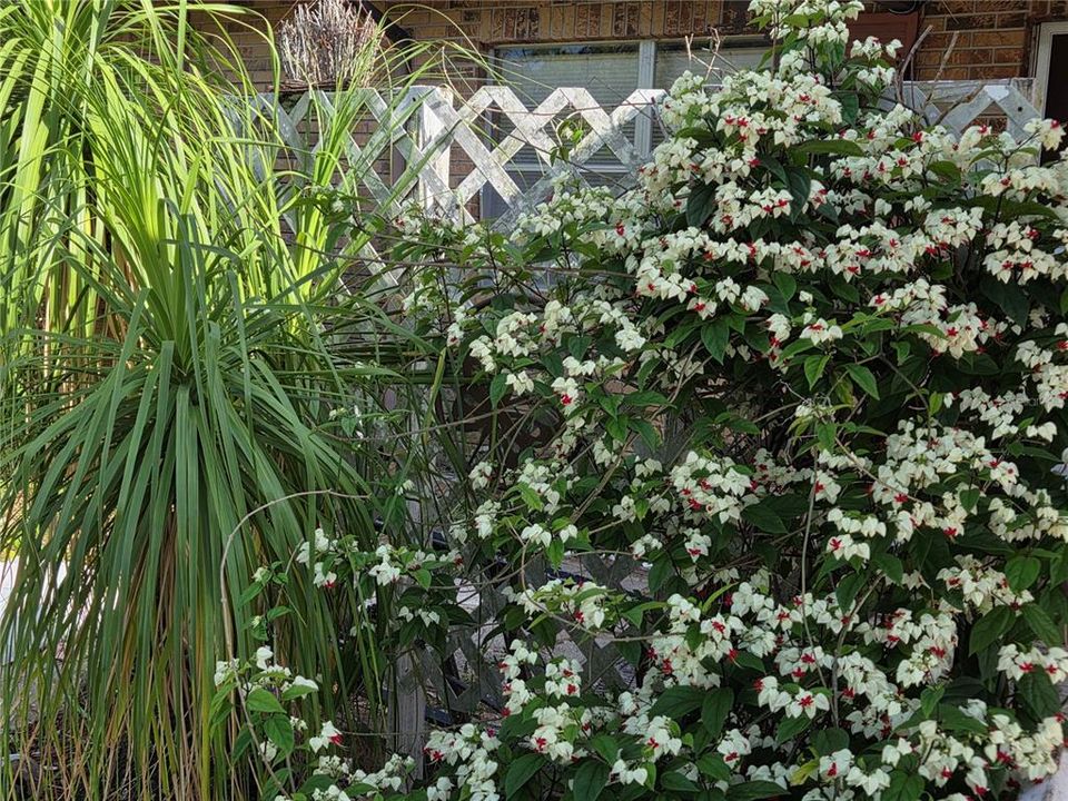 Activo con contrato: $185,000 (2 camas, 1 baños, 1044 Pies cuadrados)