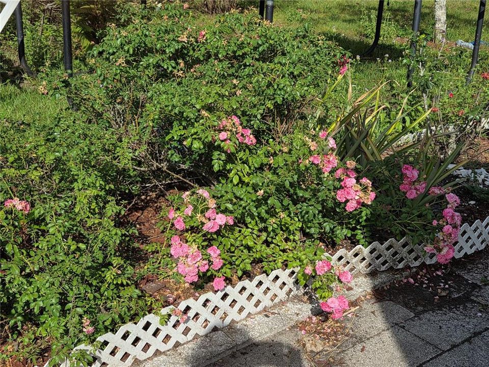 Activo con contrato: $185,000 (2 camas, 1 baños, 1044 Pies cuadrados)