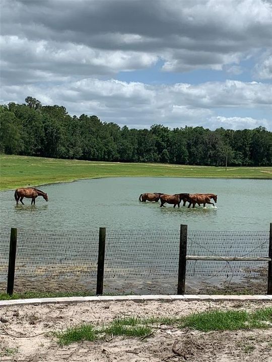 待售: $200,000 (1.08 acres)