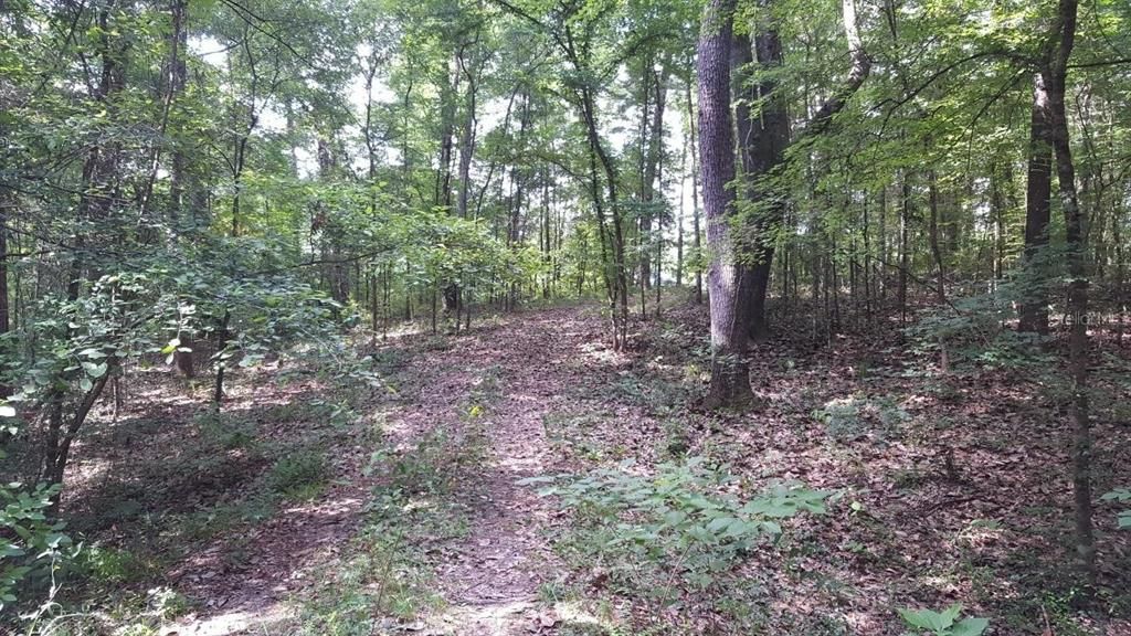 待售: $49,000 (2.22 acres)