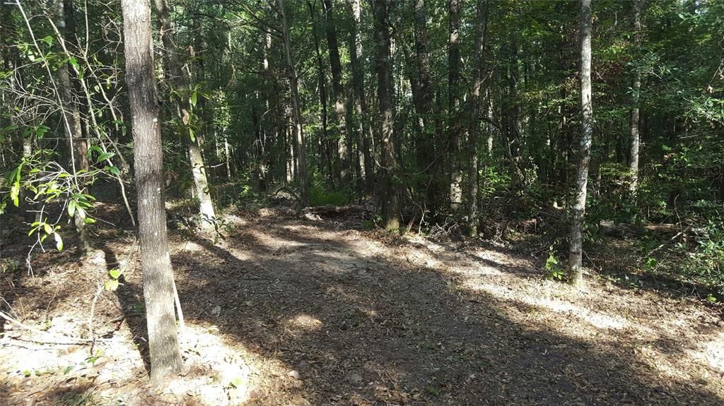 待售: $49,000 (2.22 acres)