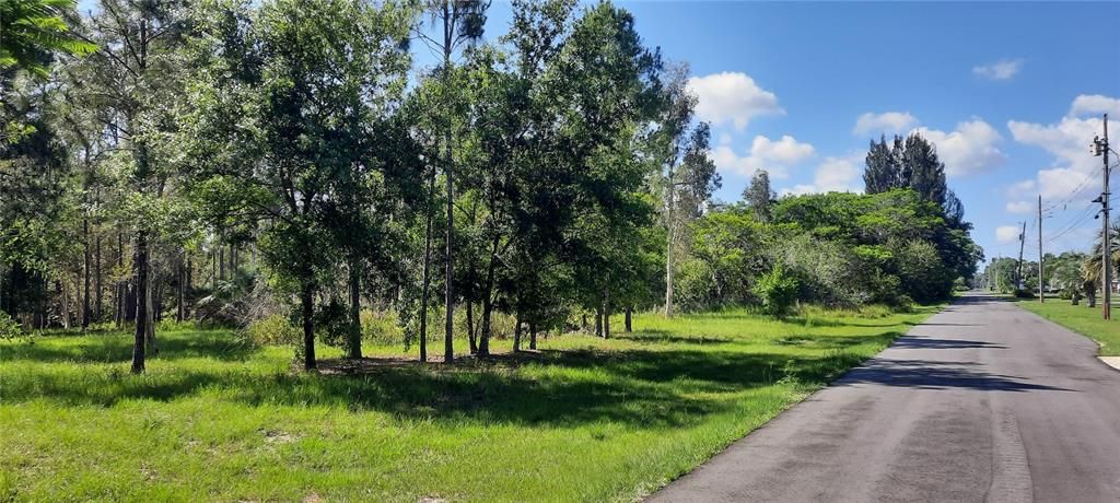 待售: $82,000 (0.50 acres)