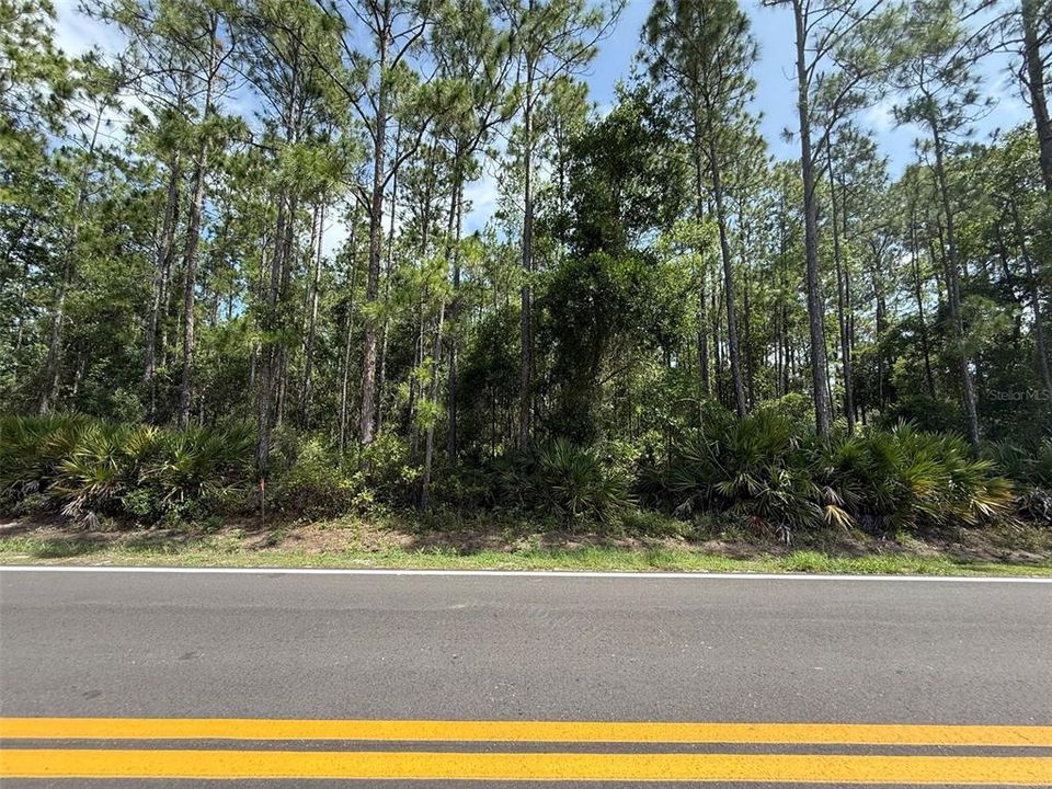 На продажу: $12,600 (0.26 acres)