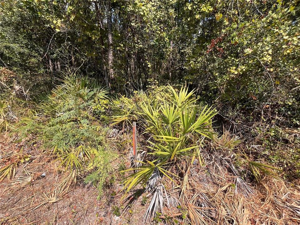 На продажу: $11,800 (0.26 acres)