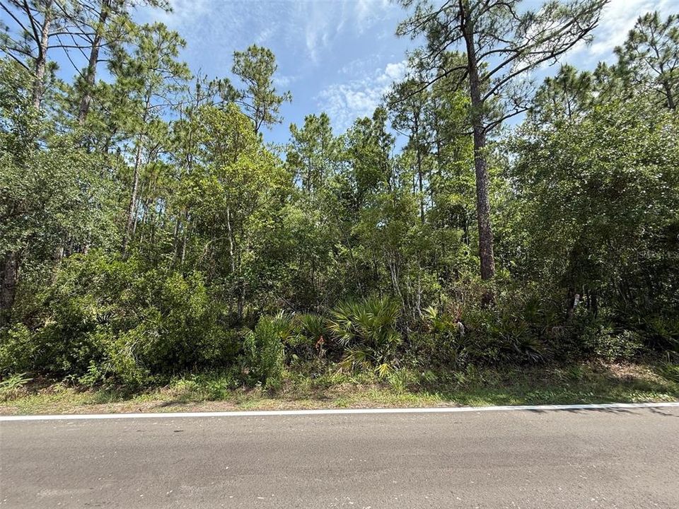 На продажу: $11,800 (0.26 acres)