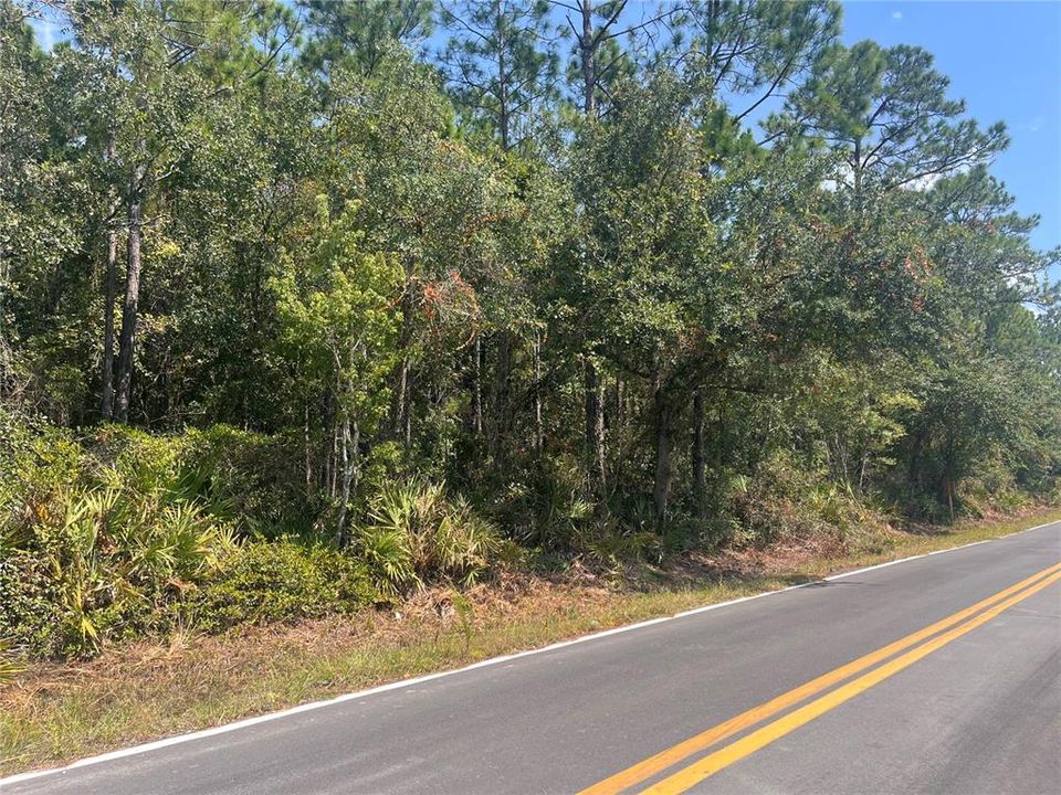 На продажу: $11,800 (0.26 acres)