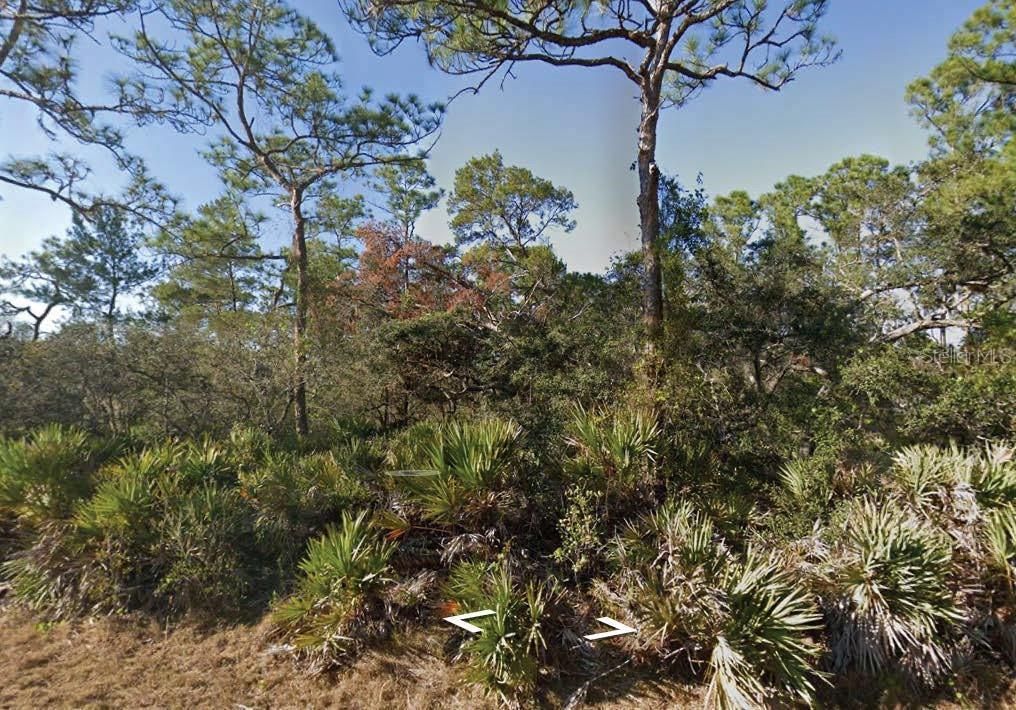 待售: $11,000 (0.23 acres)