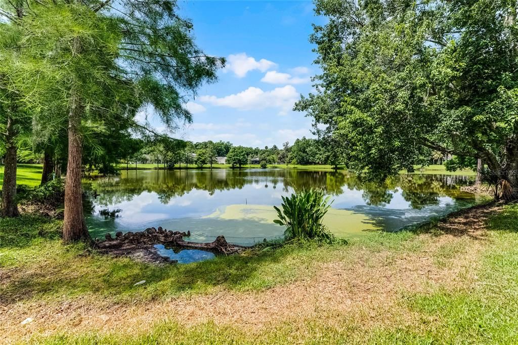 Activo con contrato: $555,000 (4 camas, 3 baños, 2361 Pies cuadrados)