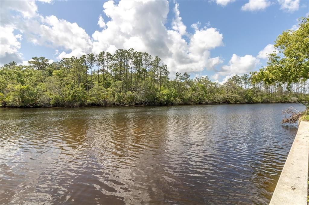 For Sale: $300,000 (0.21 acres)