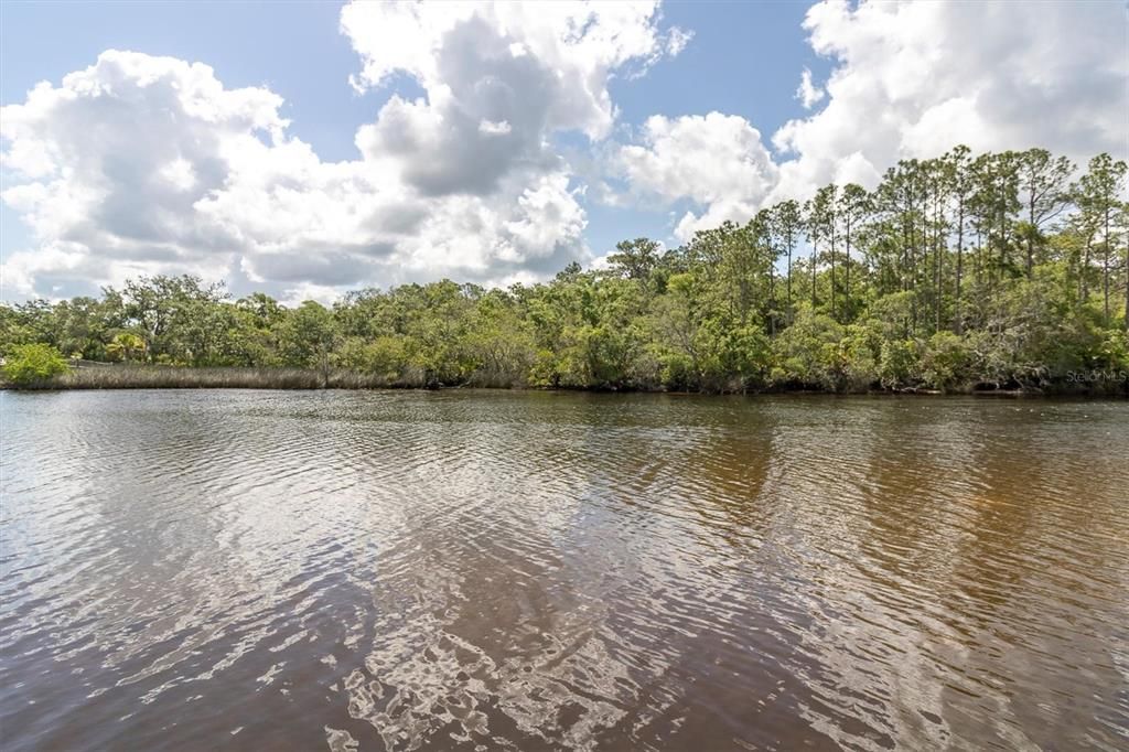 For Sale: $300,000 (0.21 acres)