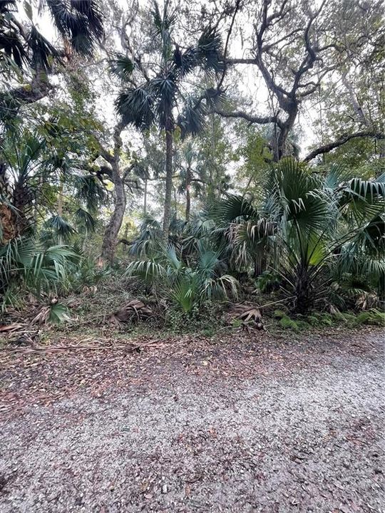 待售: $675,000 (24.41 acres)