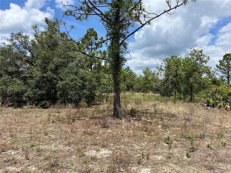 En Venta: $50,000 (0.45 acres)