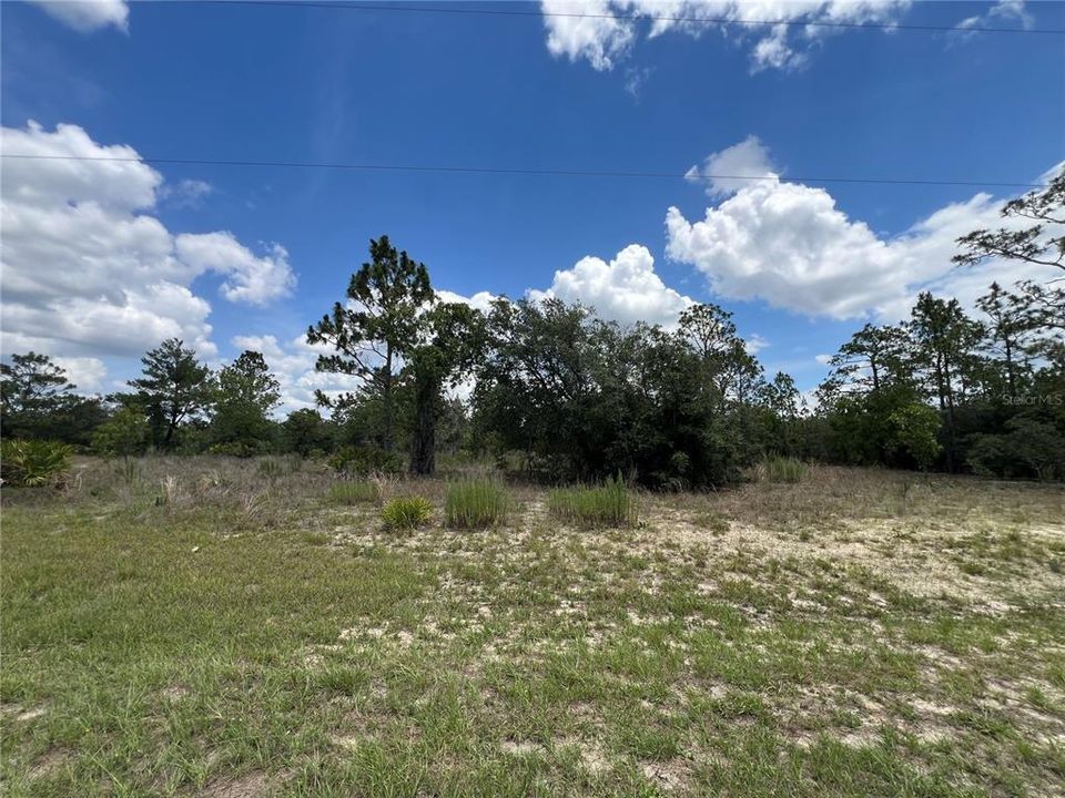 En Venta: $50,000 (0.45 acres)