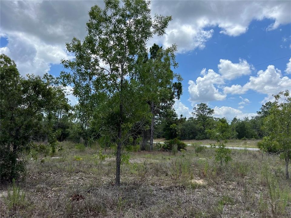 En Venta: $50,000 (0.45 acres)