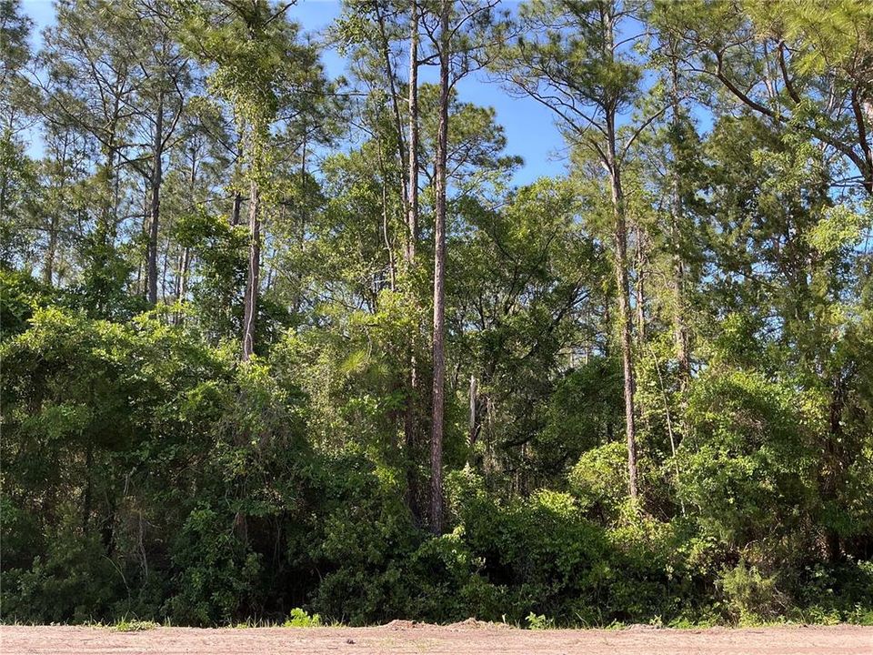 Recently Sold: $37,400 (0.90 acres)