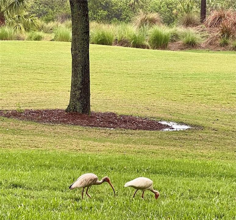 For Rent: $1,750 (2 beds, 2 baths, 1156 Square Feet)