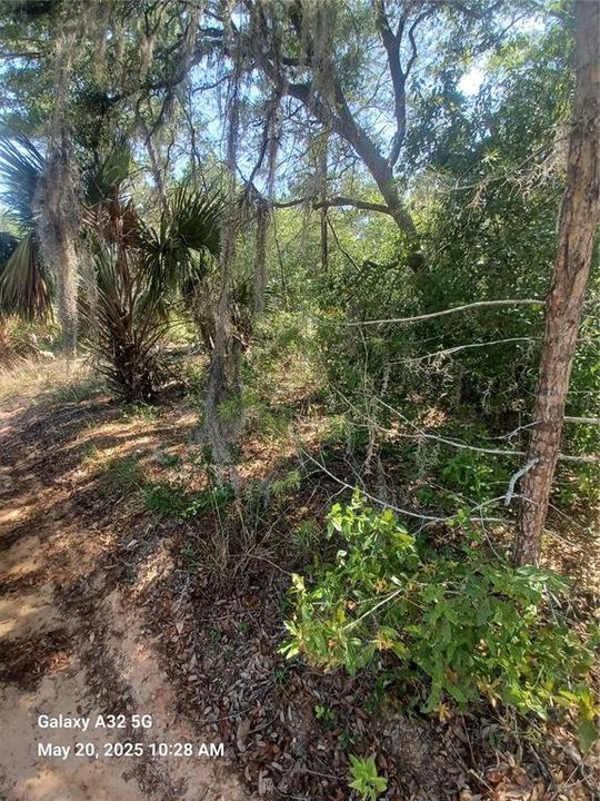 Недавно продано: $8,000 (0.24 acres)