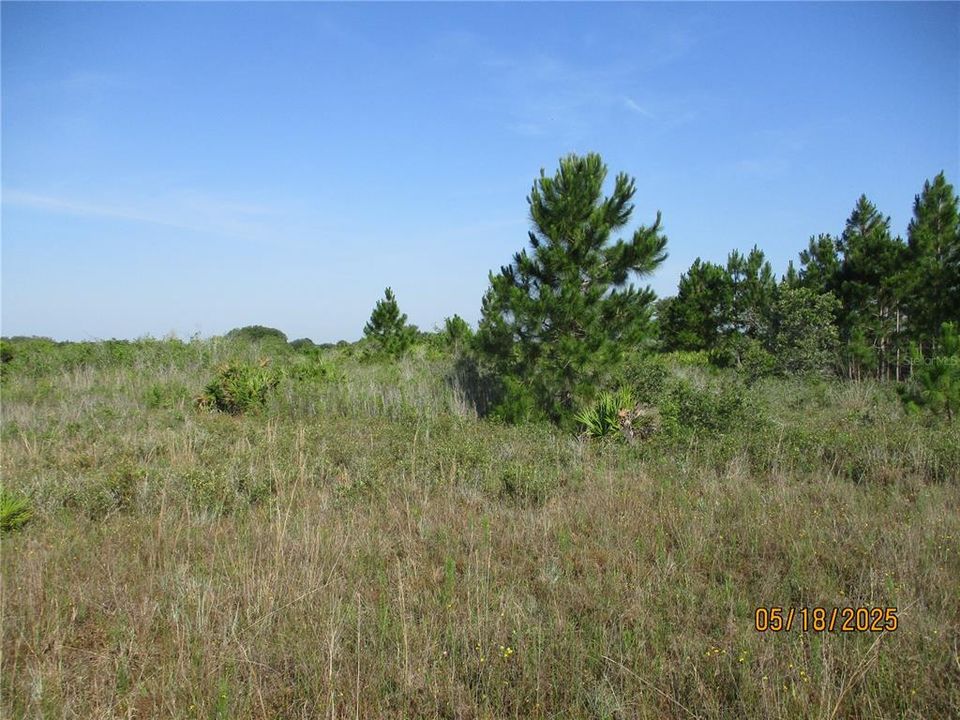 Activo con contrato: $45,000 (1.25 acres)