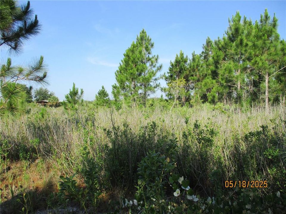 Activo con contrato: $45,000 (1.25 acres)
