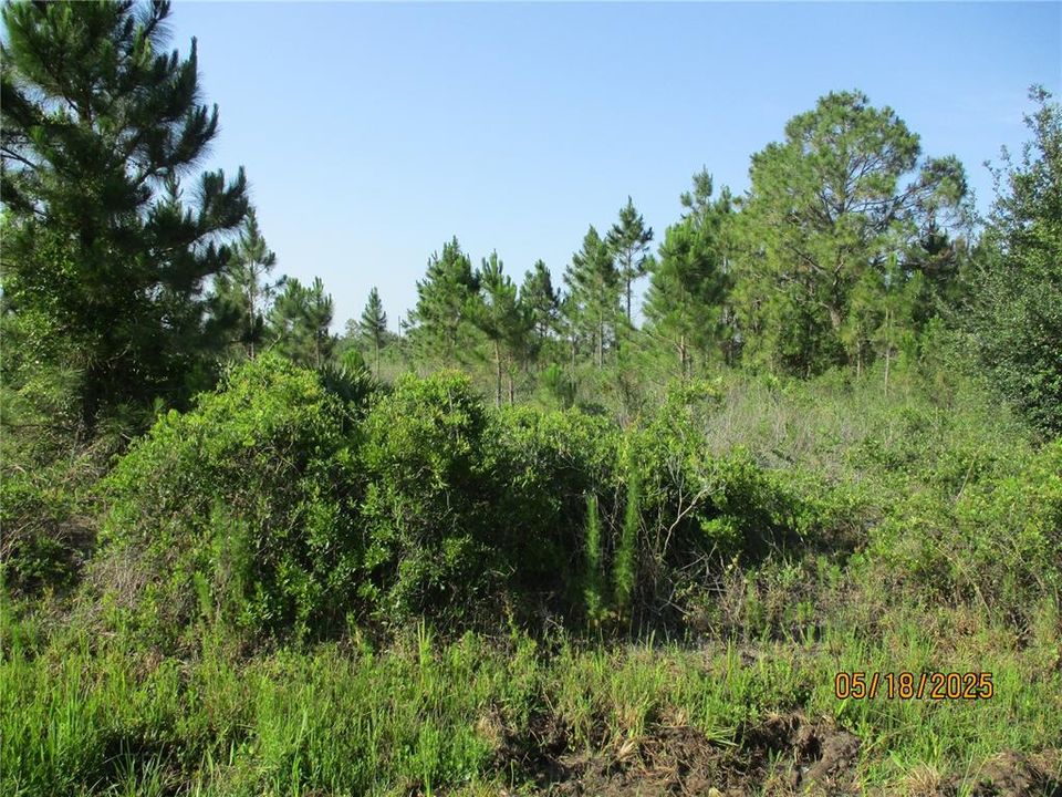 Activo con contrato: $45,000 (1.25 acres)