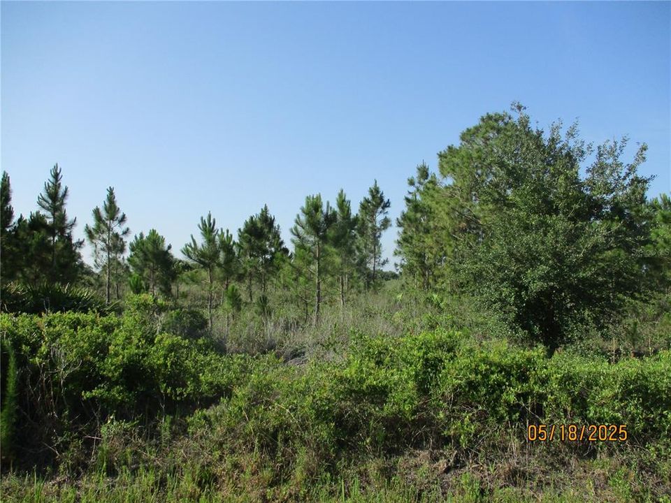 Activo con contrato: $45,000 (1.25 acres)