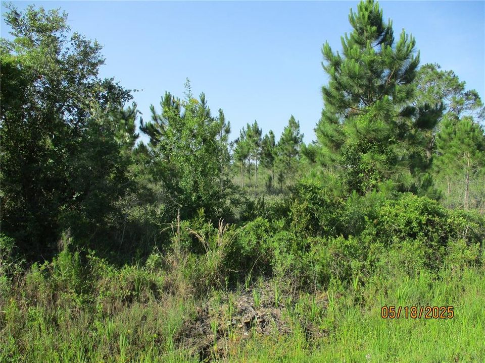 Activo con contrato: $45,000 (1.25 acres)