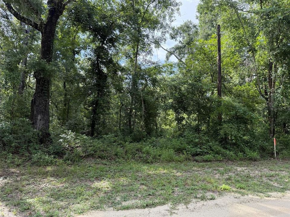 最近售出: $25,900 (1.13 acres)