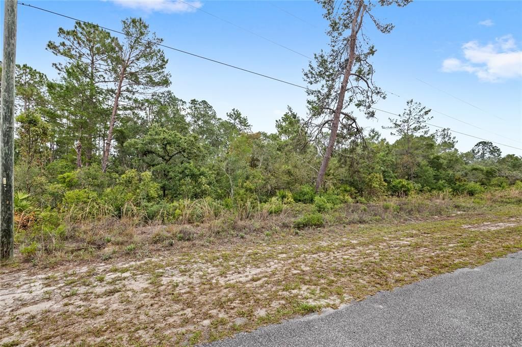 На продажу: $80,000 (1.00 acres)