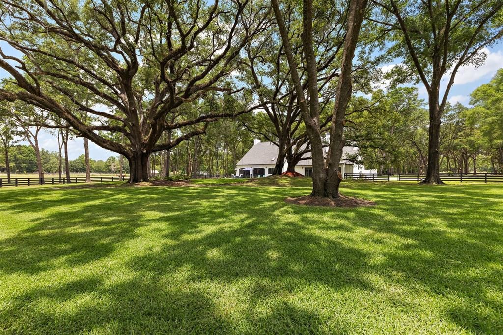 На продажу: $1,950,000 (4 спален, 3 ванн, 4976 Квадратных фут)