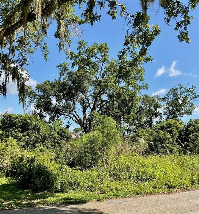 На продажу: $119,000 (0.32 acres)