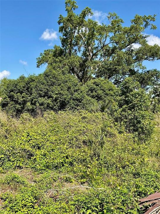 На продажу: $119,000 (0.32 acres)