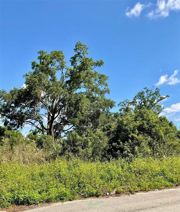 На продажу: $119,000 (0.32 acres)